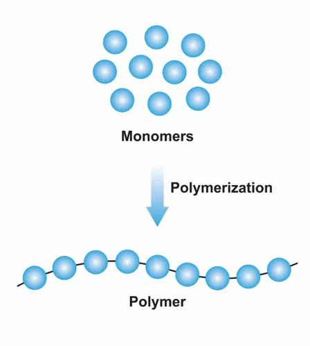 monomer polymer