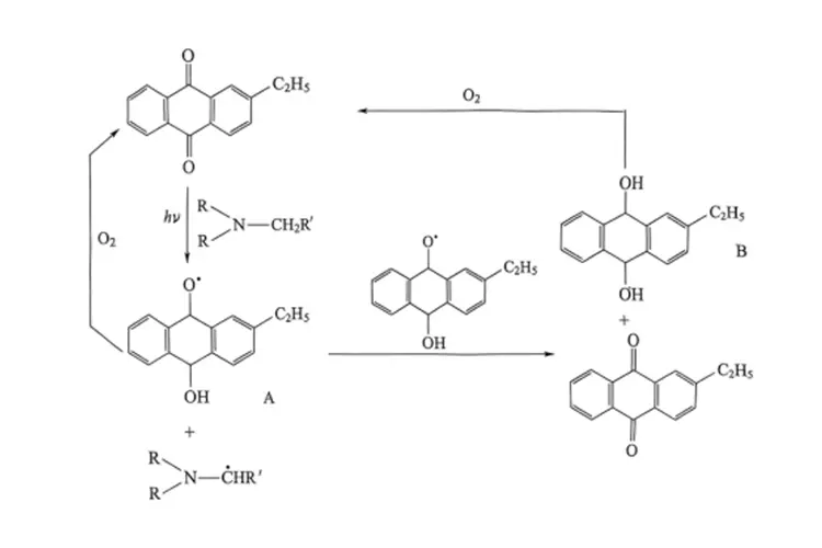 Principle of Photocuring Reaction