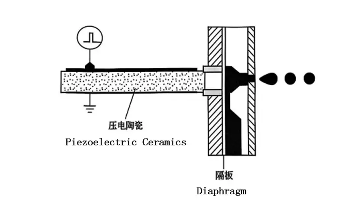Piezoelectric Inkjet Device